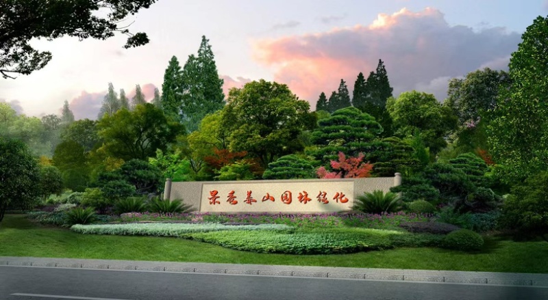 红叶李10公分，紫叶李10公分，清地处理，质量一级