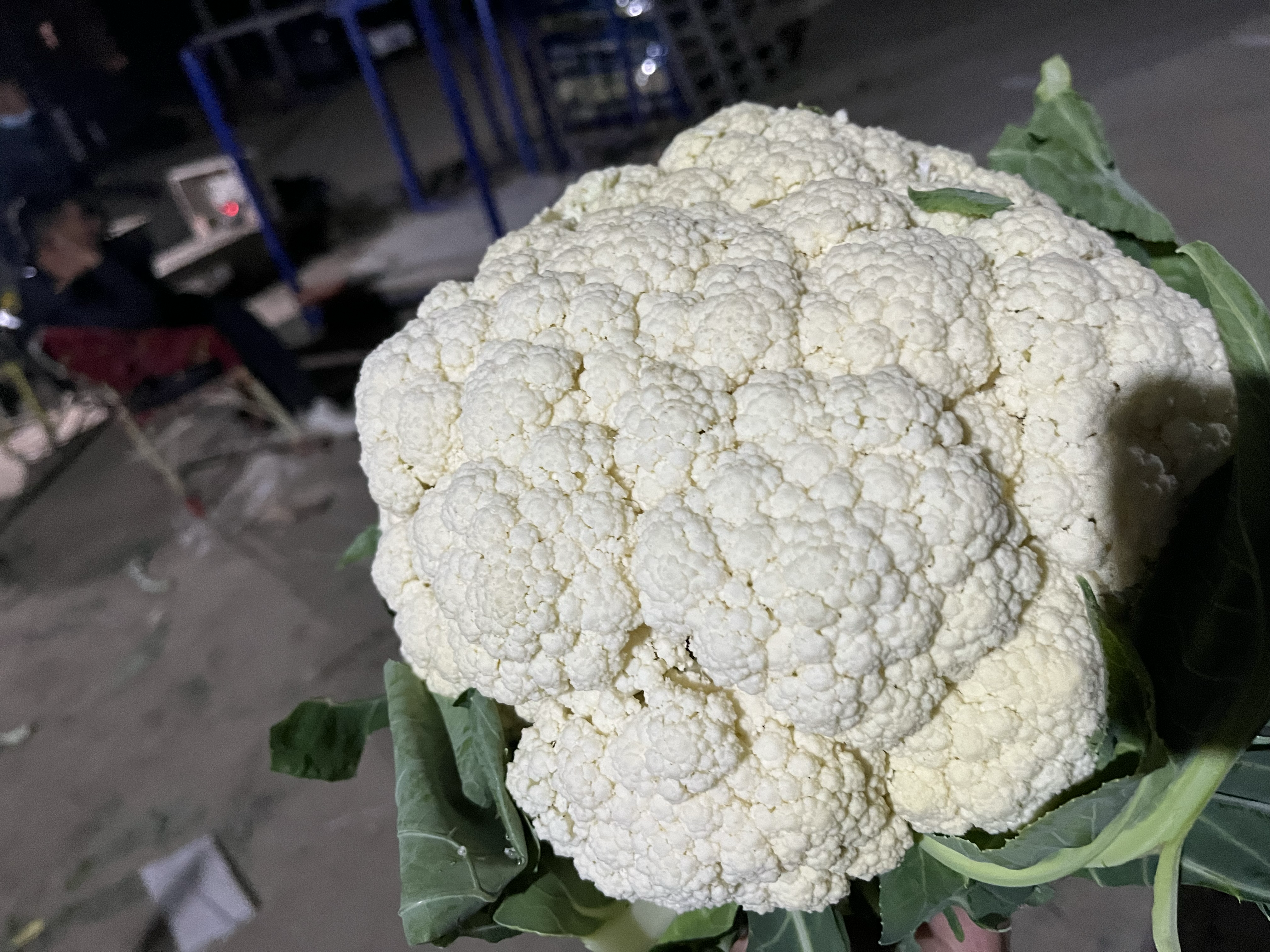 菜花特写
