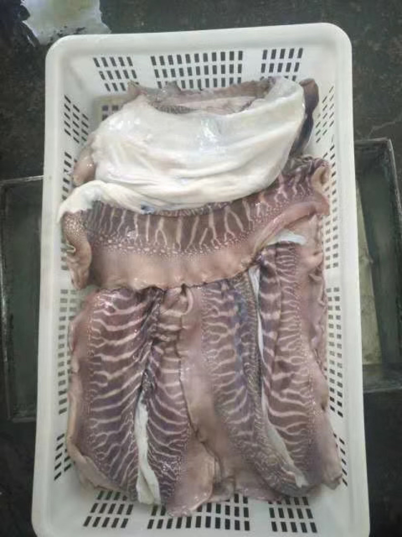 脆口墨鱼皮大墨鱼皮批发货源稳定品质保证**