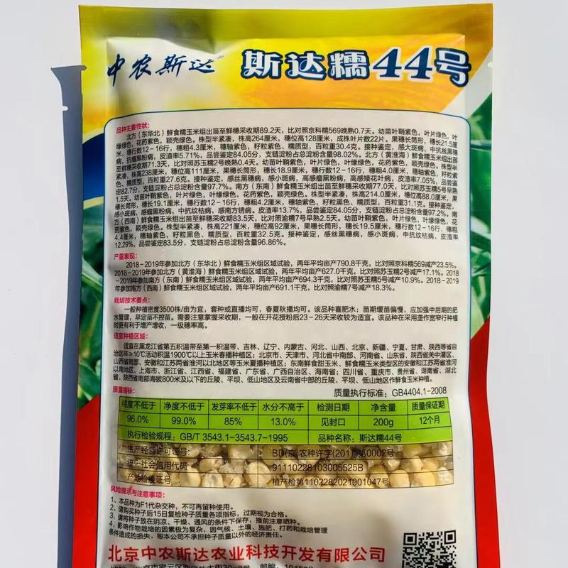 斯达糯44号鲜食糯玉米种子基地专用黑糯玉米种子营养丰富