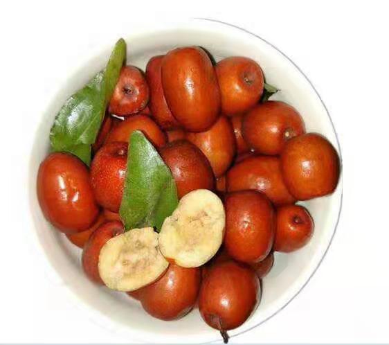 香酥脆枣搭配酸奶碗,展示多种吃法组合 香酥脆枣搭配酸奶