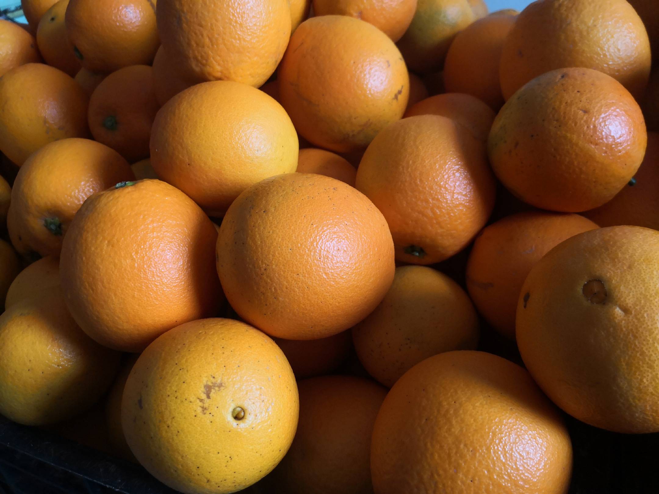 赣南脐橙外观展示