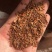 连翘种子产地直销发芽率高货量稳定量大详谈价格更优