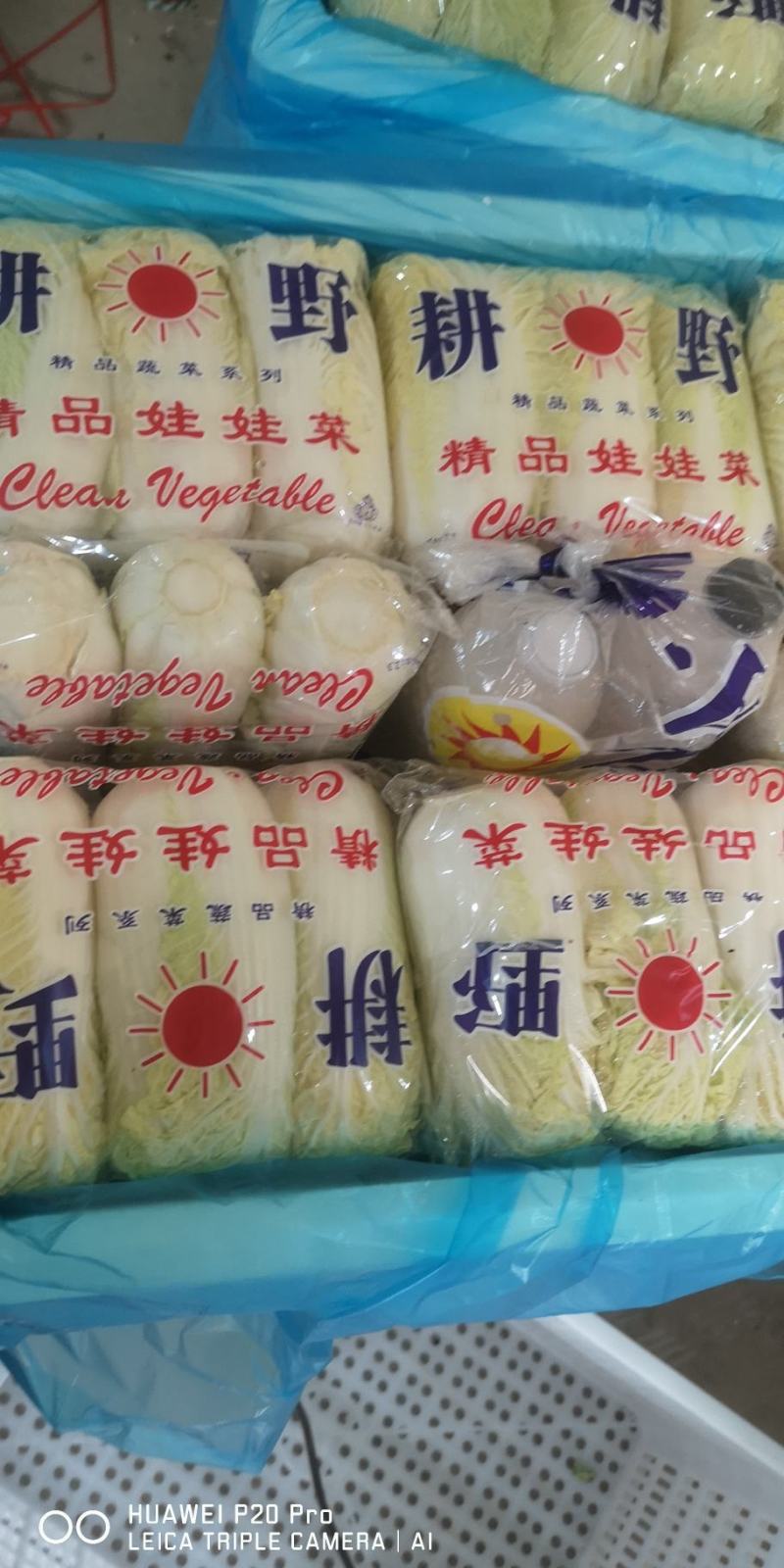 娃娃菜精品包装产地直发代发全国小娃娃娃大娃娃菜