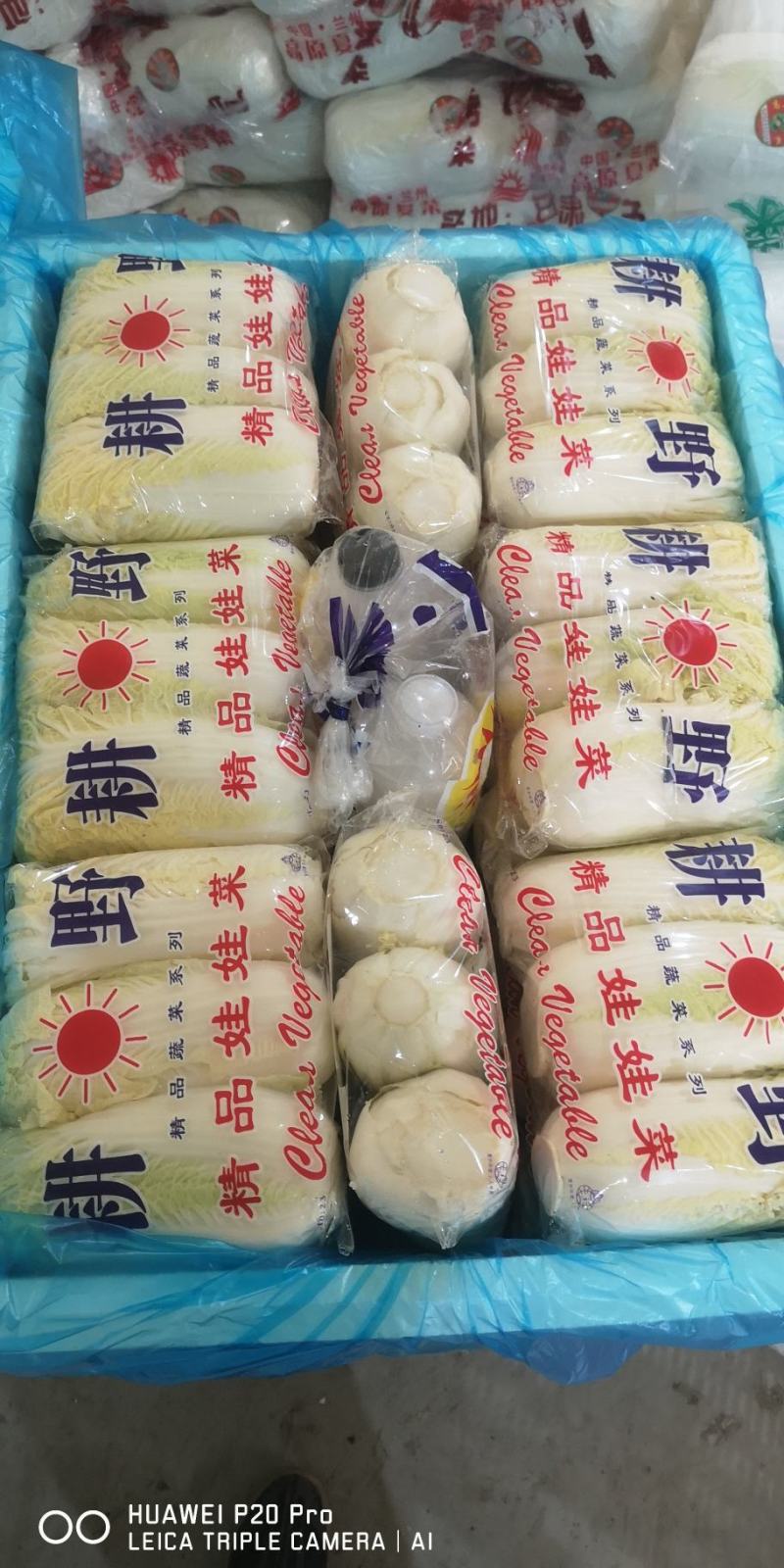 娃娃菜精品包装产地直发代发全国小娃娃娃大娃娃菜