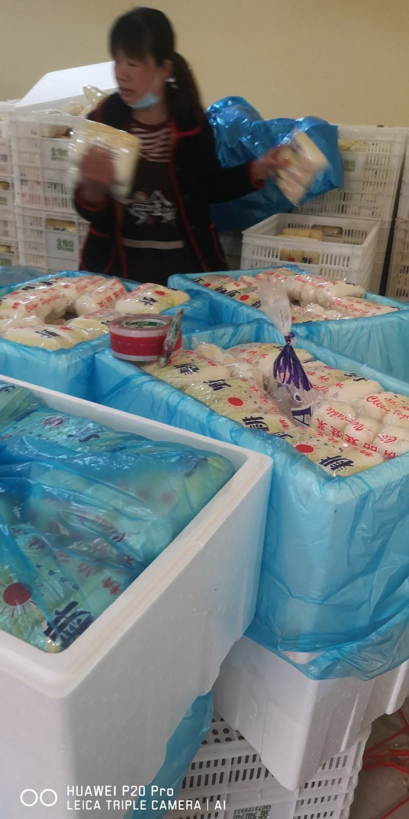 娃娃菜精品包装产地直发代发全国小娃娃娃大娃娃菜