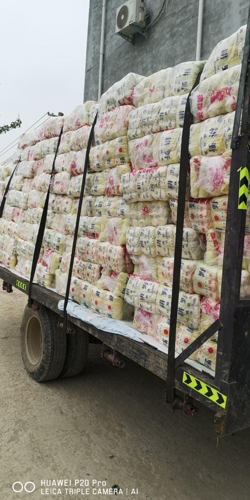娃娃菜精品包装产地直发代发全国小娃娃娃大娃娃菜