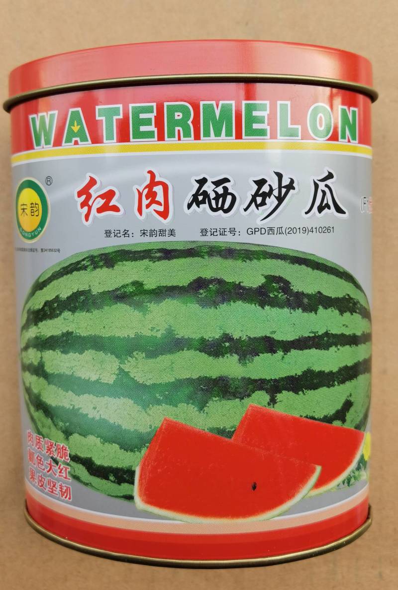 硒砂西瓜种子大果大红瓤超金城五号宁夏沙漠大西瓜石头瓜种子