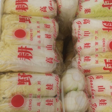 娃娃菜精品包装产地直发代发全国小娃娃娃大娃娃菜