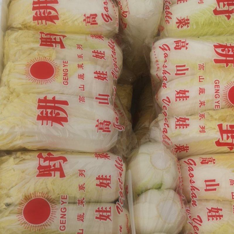 娃娃菜精品包装产地直发代发全国小娃娃娃大娃娃菜