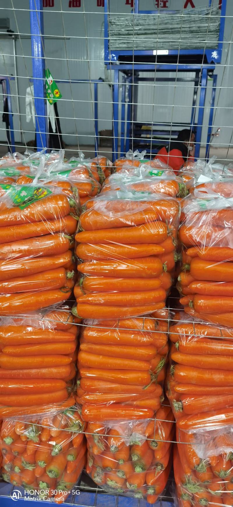 大量供应精品中条，小条大条次品，支持各种包装。