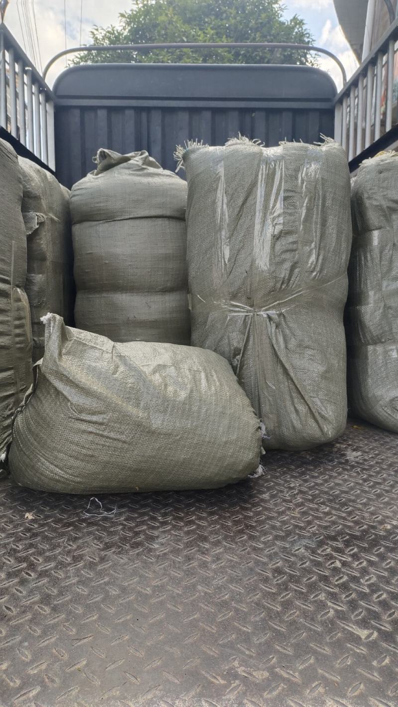 苔藓干鲜货干净够干大量批发冬眠佳品地绿化等