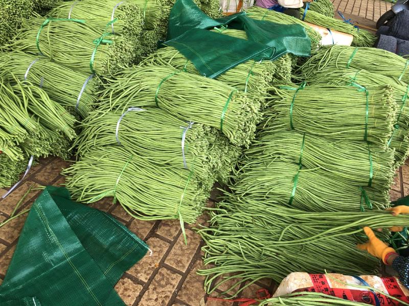 广东精品豆角，一手货源，品质保证。欢迎联系。