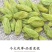 【大颗粒】新疆葡萄干大颗粒绿香妃王葡萄干特级免洗无核特产