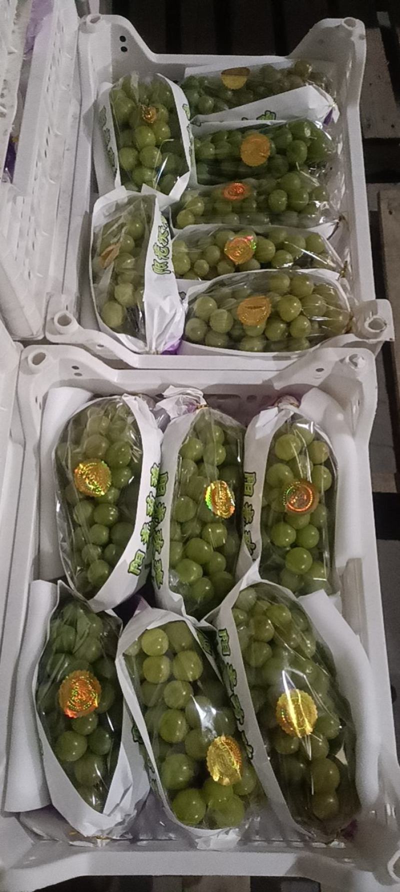 阳光玫瑰