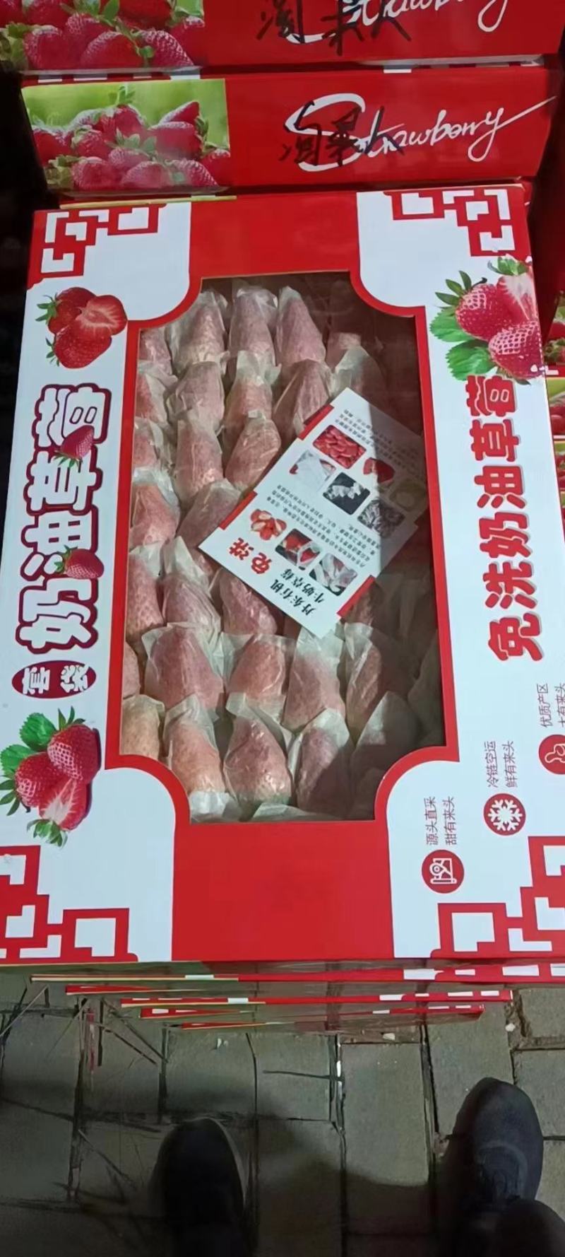 产地直供，甜宝，天使8号口感质量给你保证欢迎各大老板洽谈