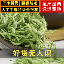 金银花黄芪广藿香组合袋泡茶