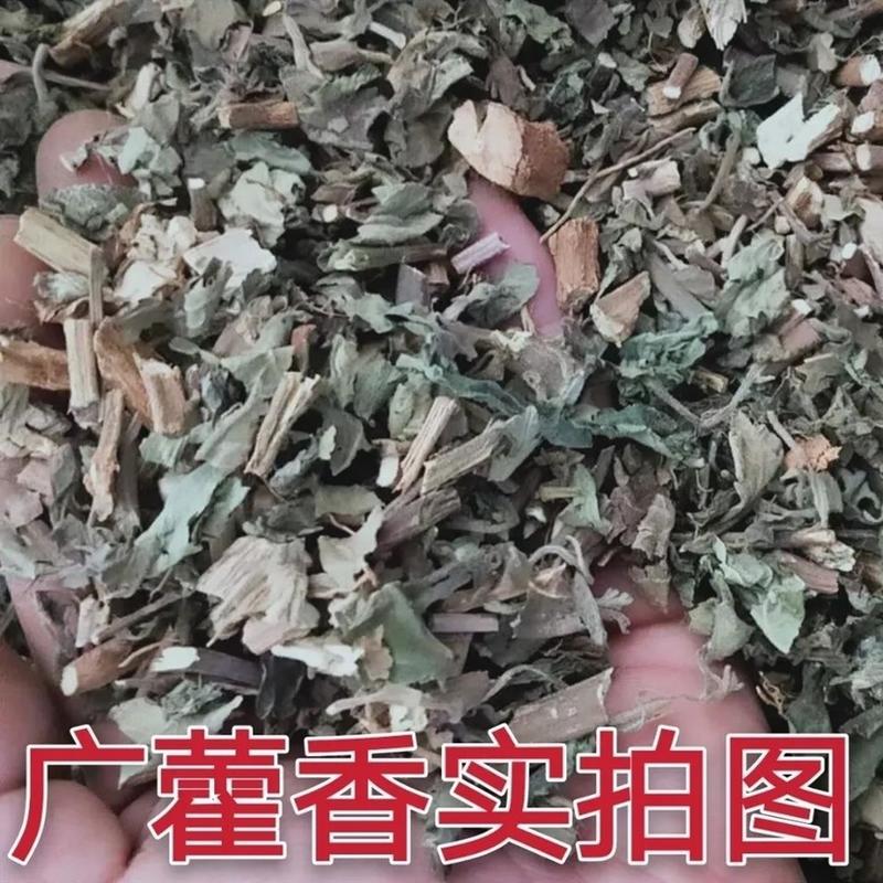 金银花黄芪广藿香组合袋泡茶