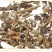 金银花黄芪广藿香组合袋泡茶