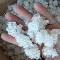 雪燕产地一手货源颜色白杂质少泡发度高