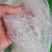 雪燕产地一手货源颜色白杂质少泡发度高