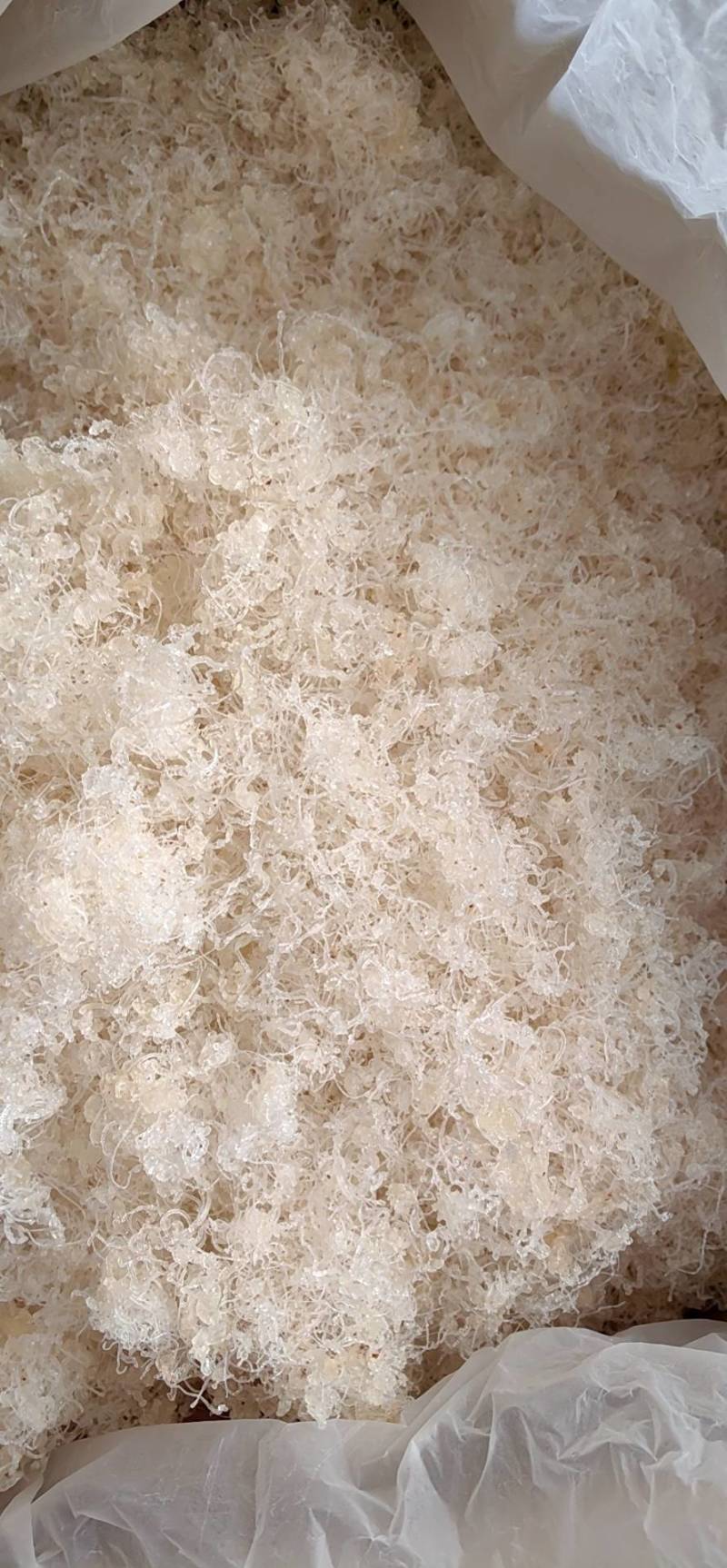 雪燕产地一手货源颜色白杂质少泡发度高