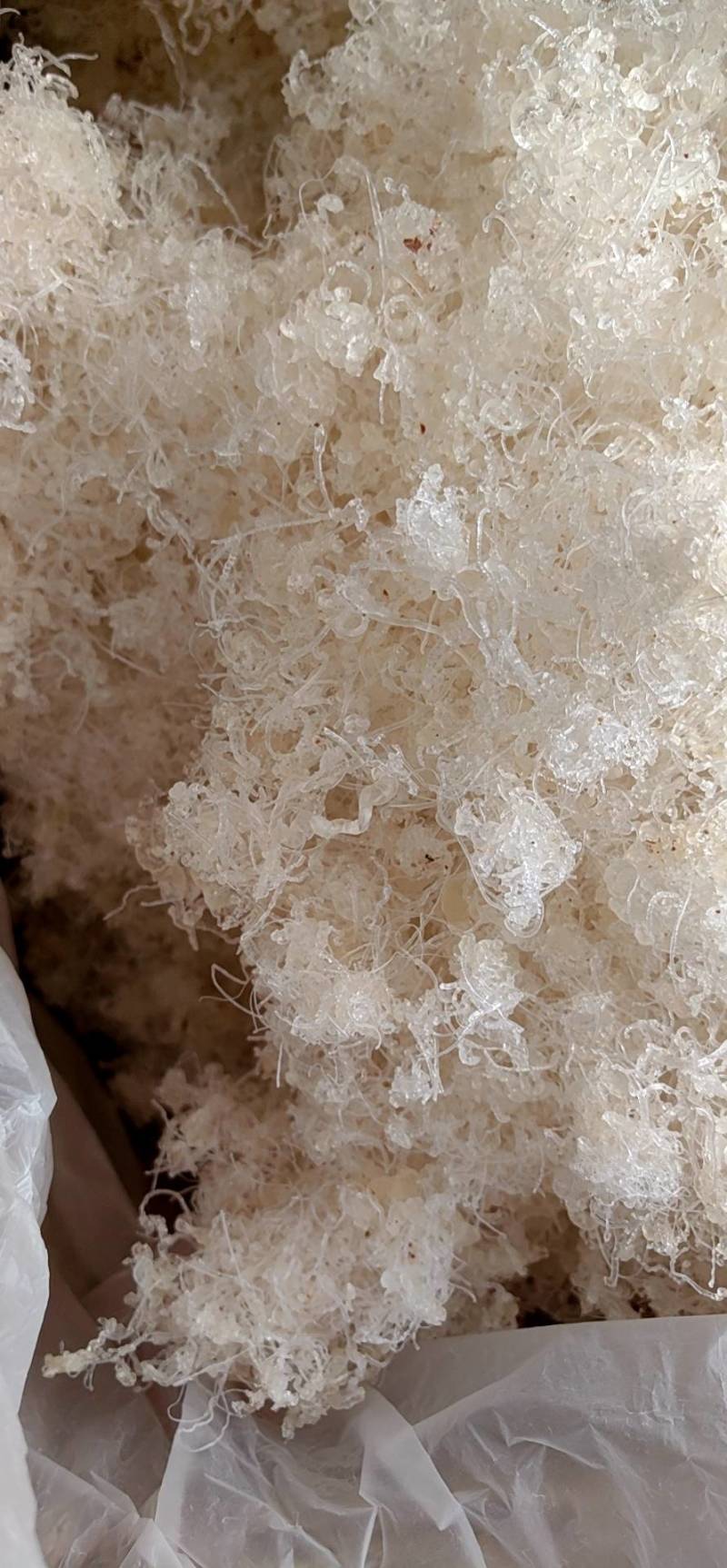雪燕产地一手货源颜色白杂质少泡发度高