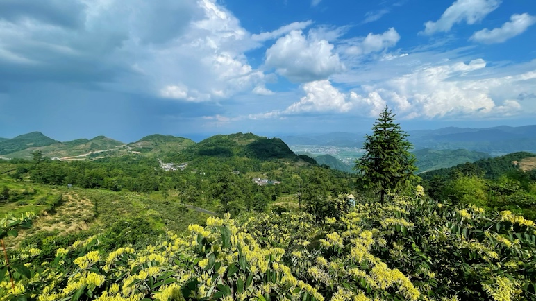 游客在韭菜坪山顶留影