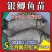 优质中科五号鲫鱼苗高背鲫鱼苗大板鲫鱼苗工程鲫鱼苗