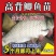 优质中科五号鲫鱼苗高背鲫鱼苗大板鲫鱼苗工程鲫鱼苗