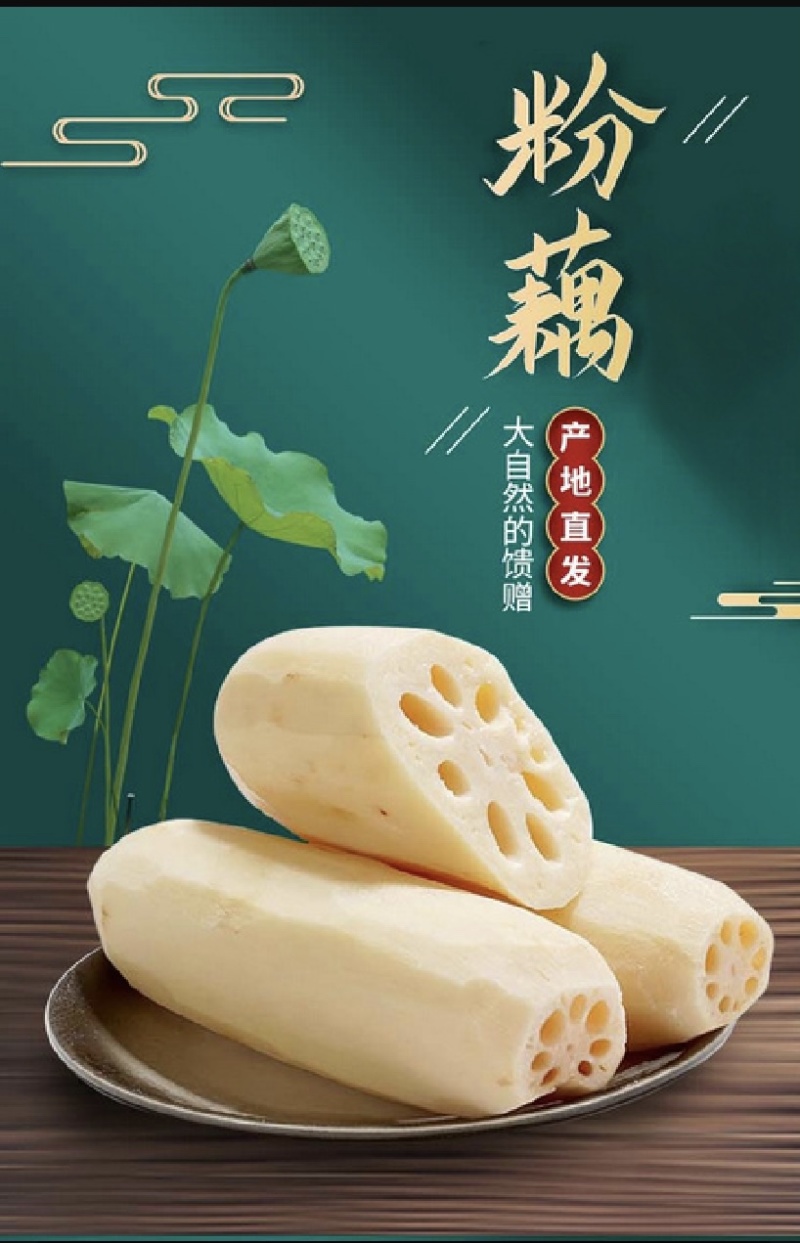 2023年洪湖野藕块