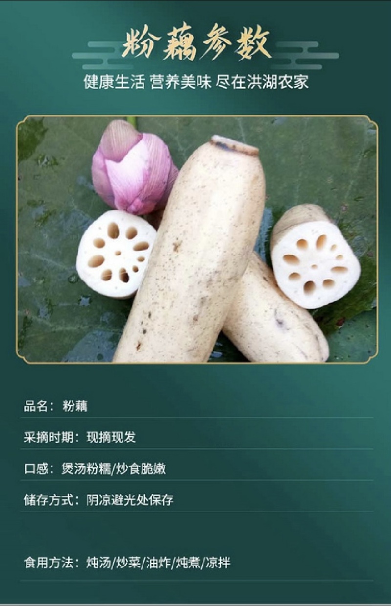2023年洪湖野藕块