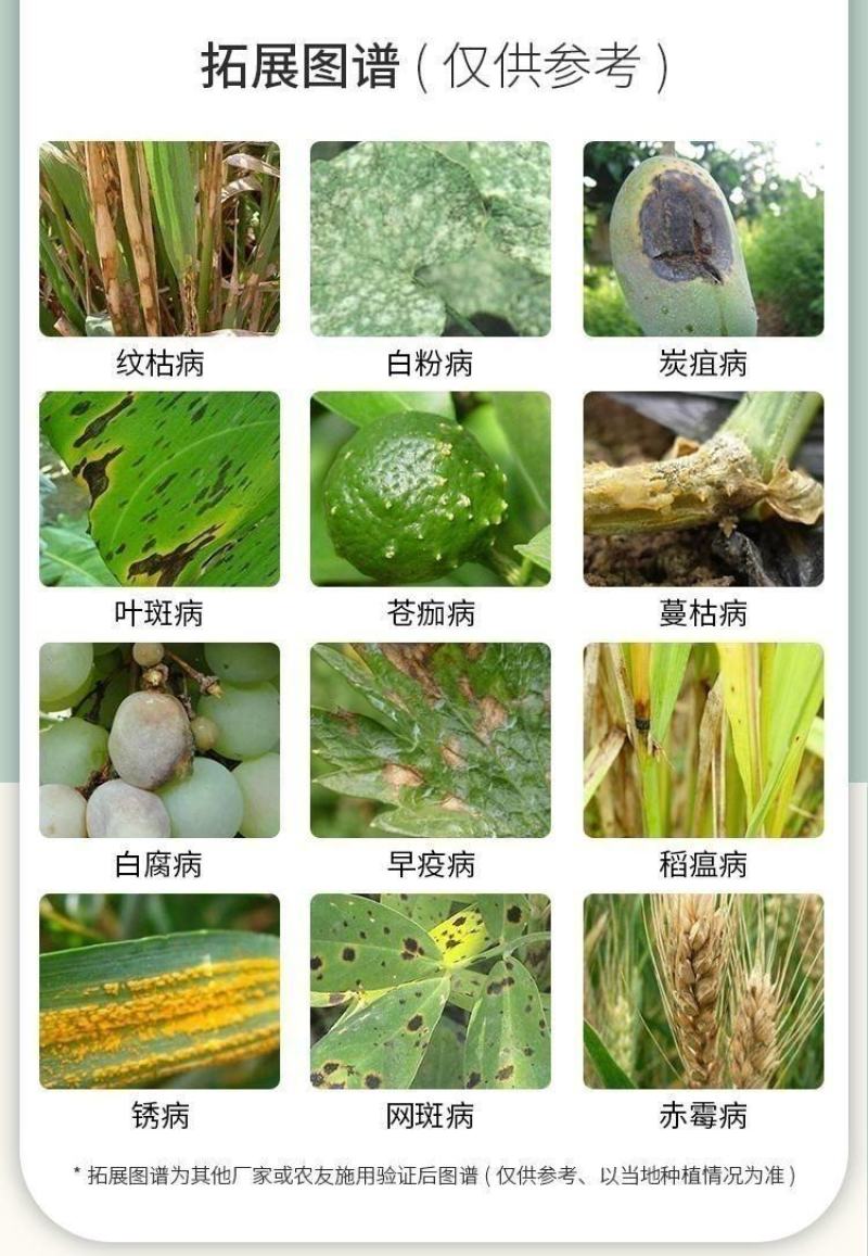 戊唑醇杀菌剂10公斤大包装防治白粉病干腐病蔬菜果树农药