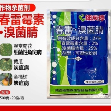 细炭停春雷溴菌腈金橘芒果树黄瓜观赏菊花黄瓜炭疽病细菌性角