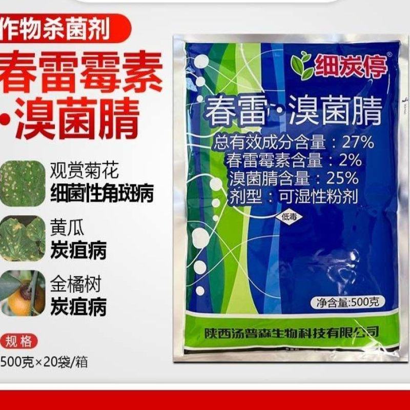 细炭停春雷溴菌腈金橘芒果树黄瓜观赏菊花黄瓜炭疽病细菌性角