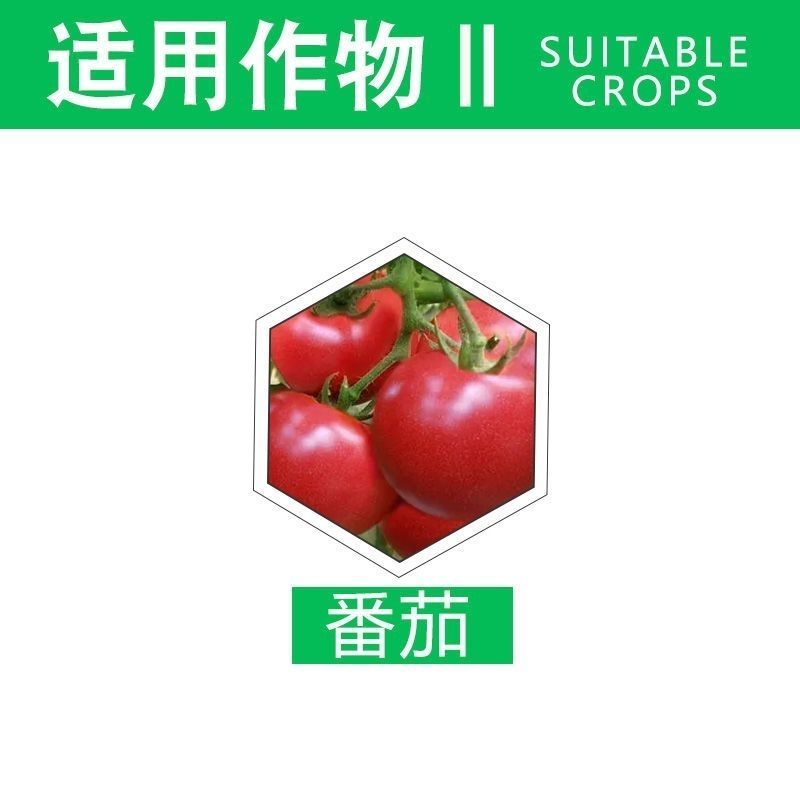 农药店0.3%丁子香酚可溶液剂番茄蔬菜灰霉病杀菌剂
