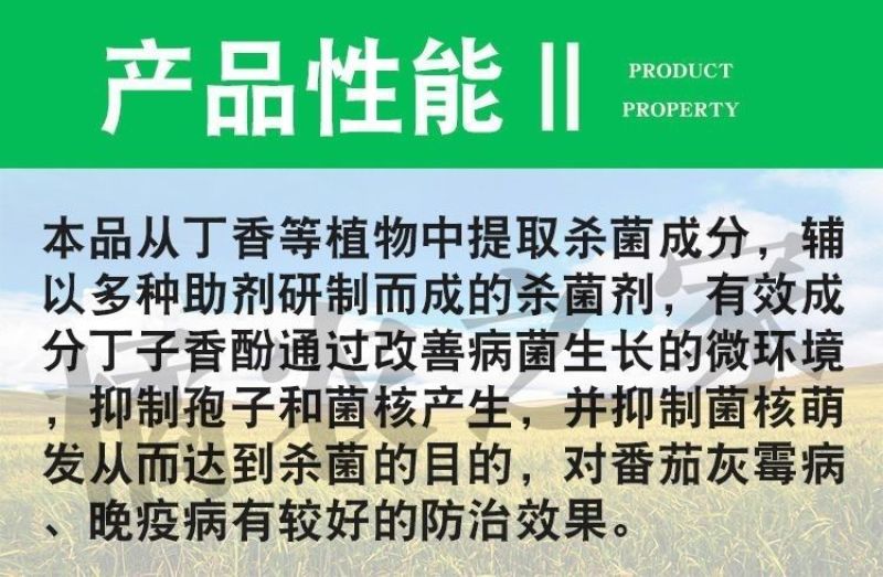 农药店0.3%丁子香酚可溶液剂番茄蔬菜灰霉病杀菌剂
