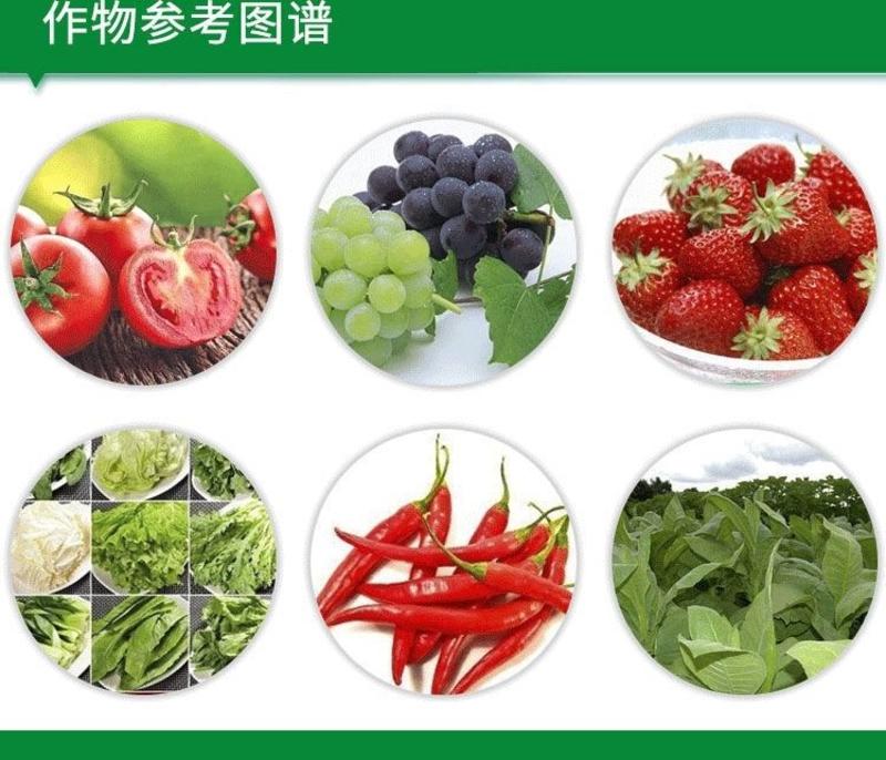 农药店0.3%丁子香酚可溶液剂番茄蔬菜灰霉病杀菌剂