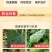 白粉病专用药25%乙嘧酚磺酸酯防治黄瓜草莓白粉病杀菌剂