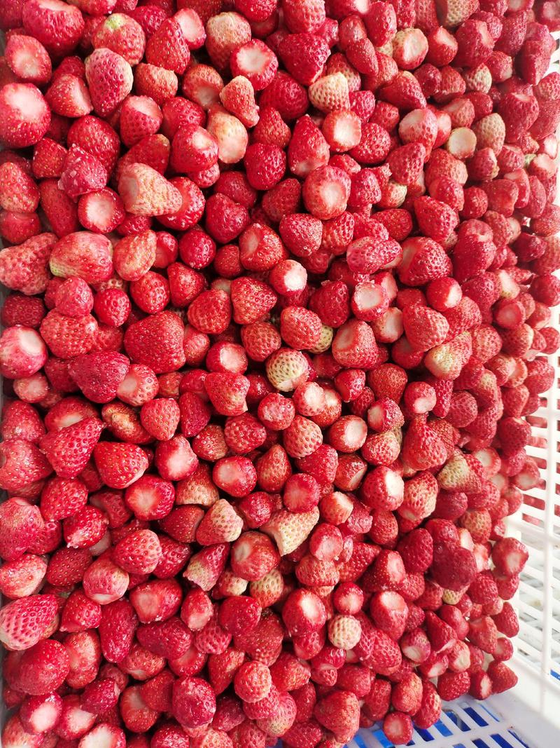速冻草莓，红颜甜查理美十三