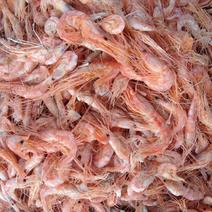 渤海湾特产，新到红虾，品相好，颜色正，口感很好，量大