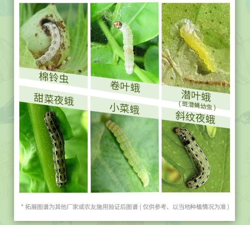 5%甲维盐水稻稻纵卷叶螟杀虫剂甲氨基阿维菌素苯甲酸盐