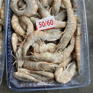 虾批发对虾批发大虾批发一手货源