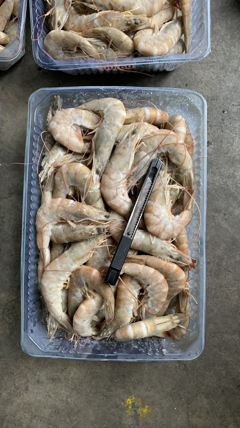虾批发对虾批发大虾批发一手货源