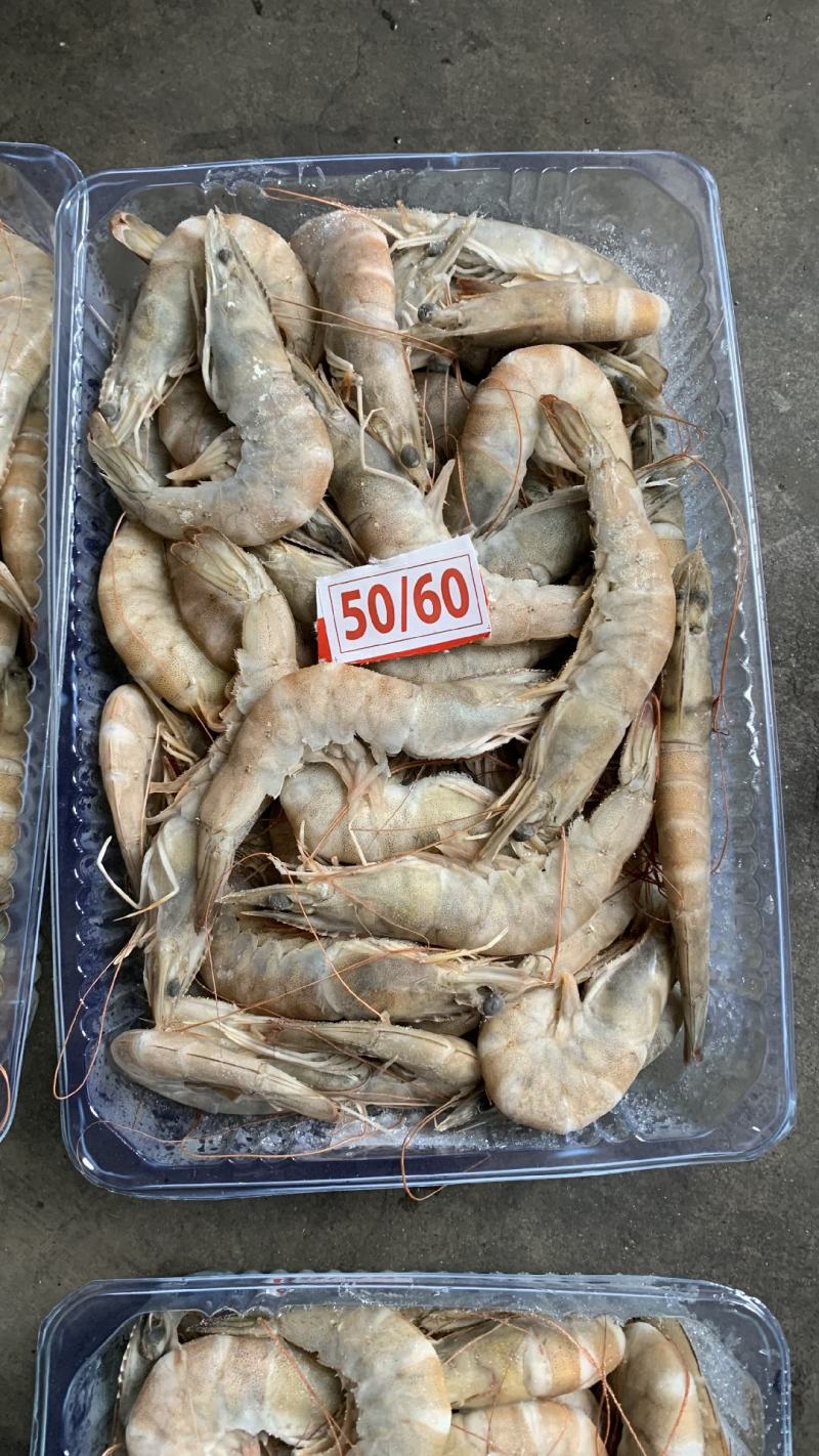 虾批发对虾批发大虾批发一手货源