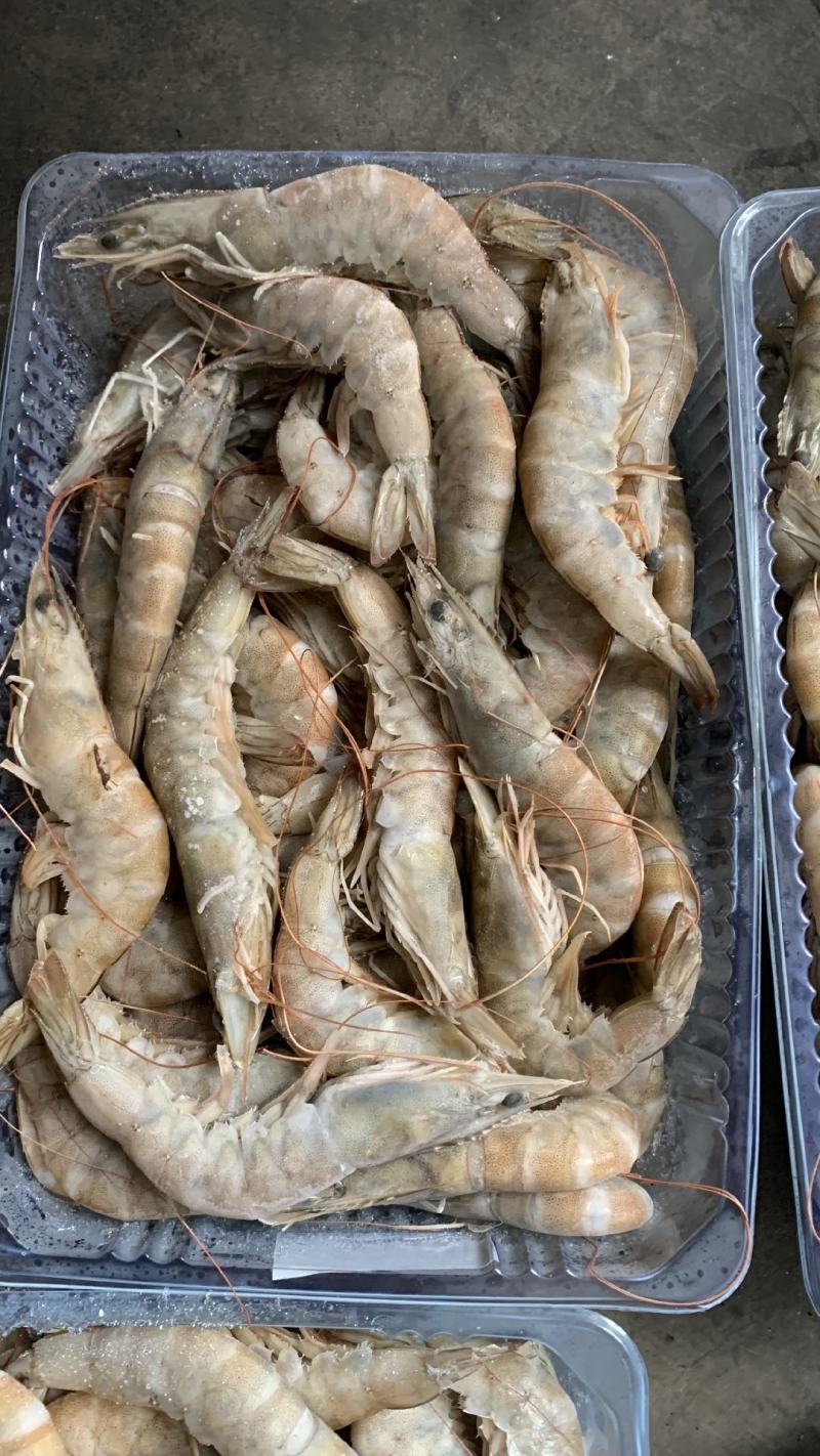 虾批发对虾批发大虾批发一手货源