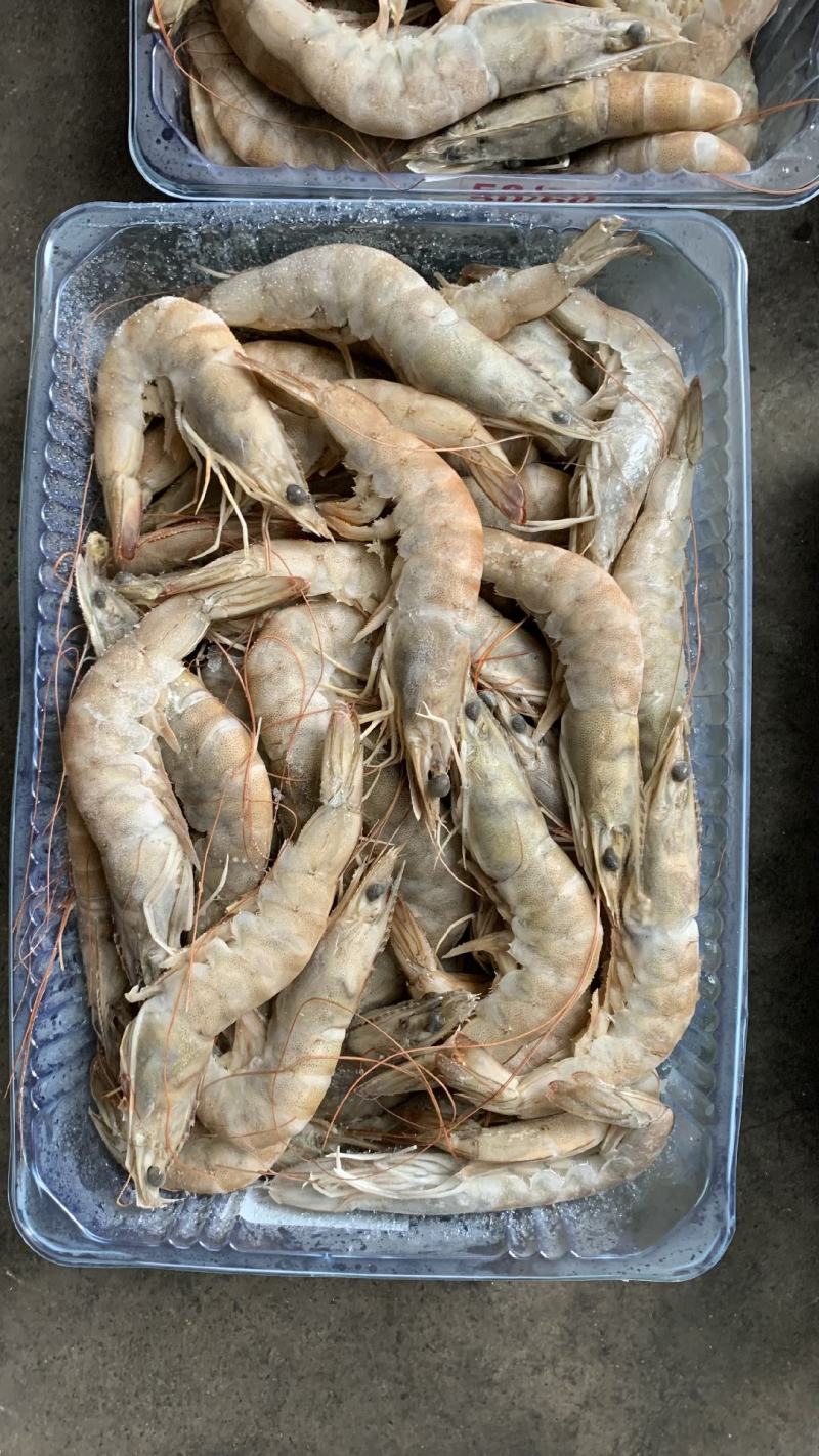 虾批发对虾批发大虾批发一手货源