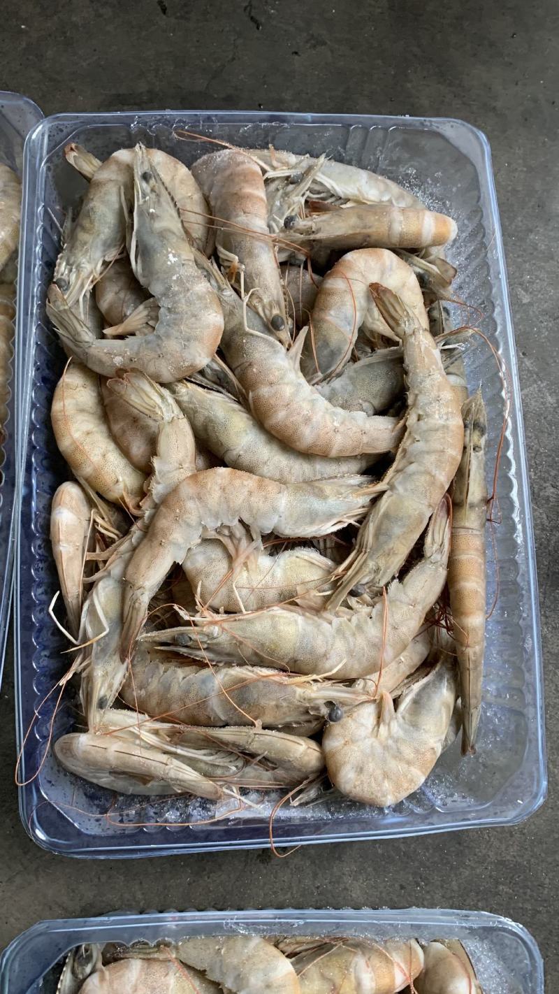 虾批发对虾批发大虾批发一手货源