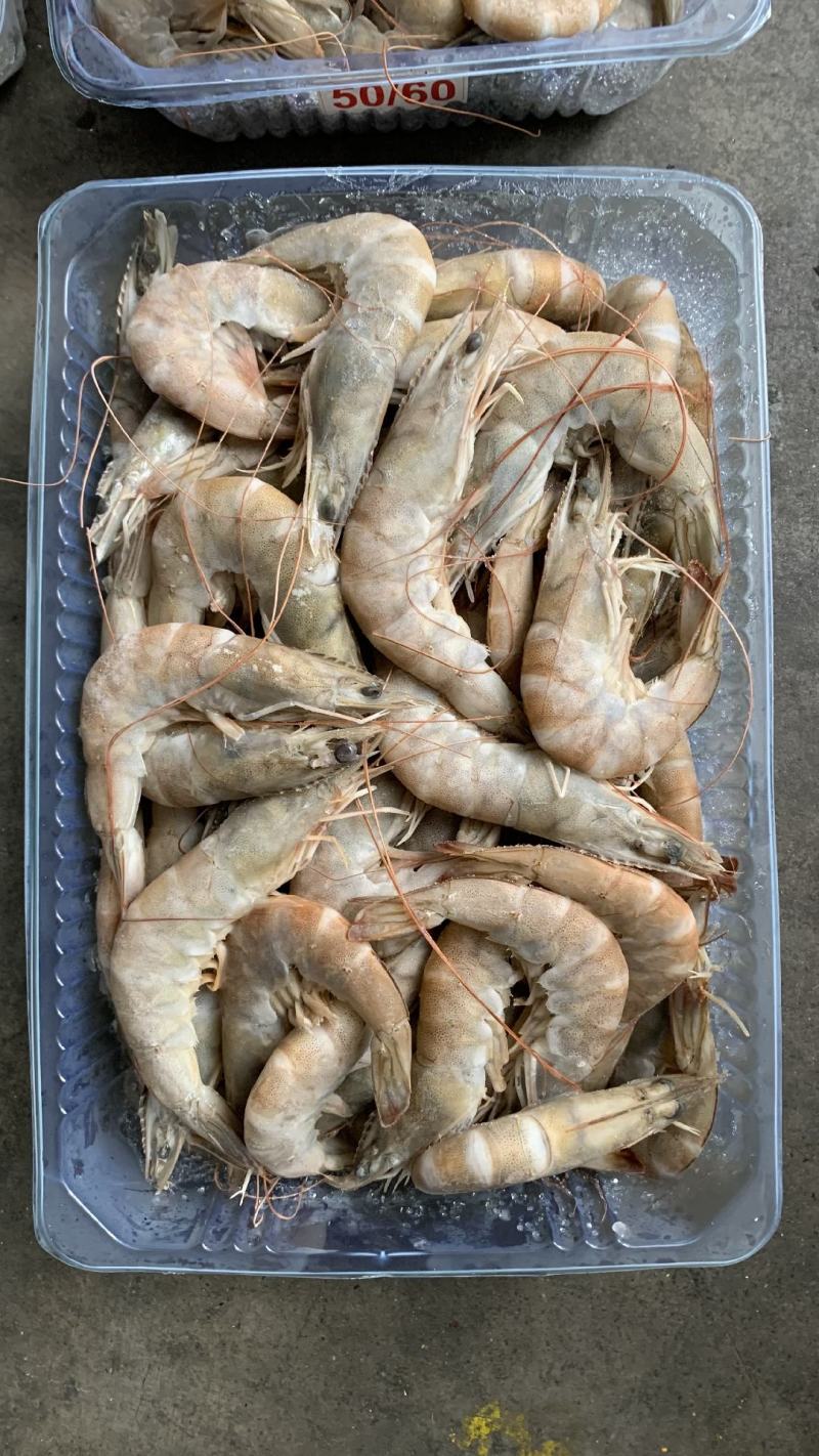 虾批发对虾批发大虾批发一手货源