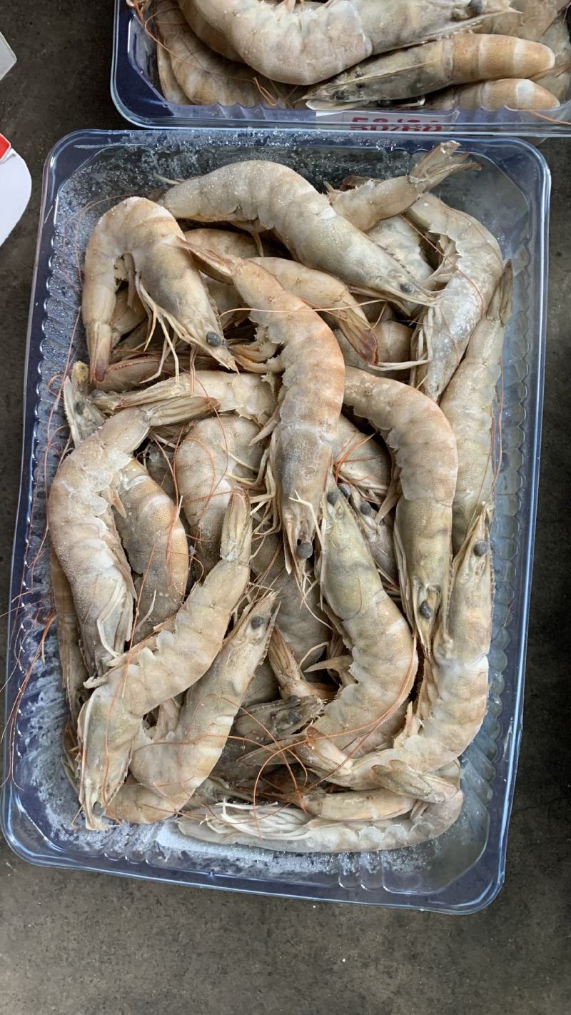 虾批发对虾批发大虾批发一手货源